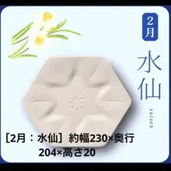 2026金麦花やか皿　大皿１枚 （２月 水仙 ）六角形白い皿のサムネイル
