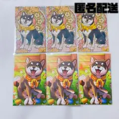 黒井しば コレカ