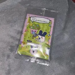 たまごっちのプチプチおみせっちしり〜ず カード＆フレーム みみっち はなやさん