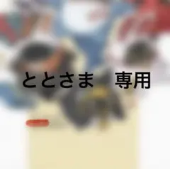 ととさま　専用　アリョーシャ　缶バッジ レーザーチケット