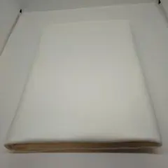 Item thumbnail for item dce1d212-1b49-4919-803a-35e880332e8a