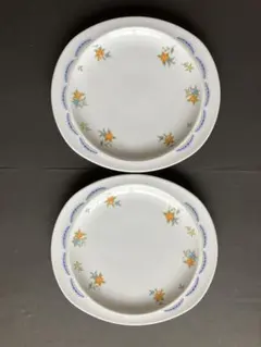 Noritake ノリタケ 千趣会 花柄 プレート 皿 2枚セット直径約21cm