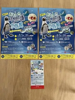 おもしろ不思議水族館2026 招待券1枚　割引券　いよてつ高島屋　愛媛県のサムネイル