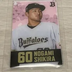 Item thumbnail for item dba241d4-000b-460b-a8bc-0caabfcb45e9