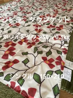 丸洗い可【シビラ】羽毛肌掛布団 ダウンケット（150×210）モリノ