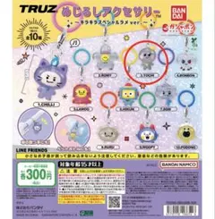 【新品・未開封】TRUZ めじるしアクセサリー キラキララメver. 1種