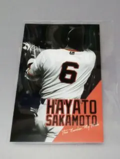 坂本勇人　ジャイアンツ　フォトカード　シークレット