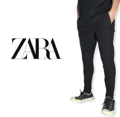 ZARA｜ゼブラ柄ナイロンストレッチスキニーパンツEUR40y2kV系好きにも