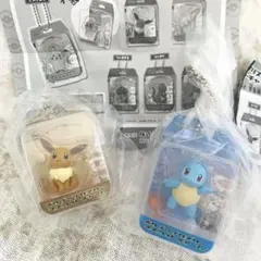 ポケプラブリスターマスコットチャーム イーブイ ゼニガメ