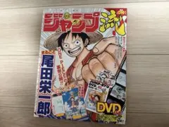 ワンピース ロビン名場面『生きたいっ!』掲載 週刊少年ジャンプ 2006年