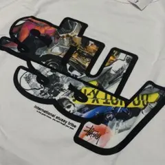 Old Stussy グラフィック Tシャツ チャンピオン コラボ スケート