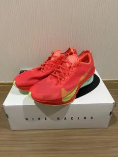 Item thumbnail for item af22050d-e018-4920-badc-d55f4c87f1c9