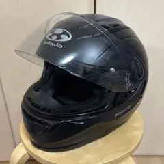 Item thumbnail for item b439a3c7-32c7-4262-83ff-8365860b62c0