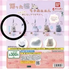 怒った猫ちゃあぁぁん ふわふわめじるしアクセサリー