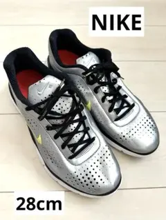 NIKE メッシュスニーカー　シルバーメッシュZOOMAIR28cm大きいサイズ