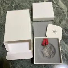 新品★2025スワロフスキーノベルティ★オーナメント