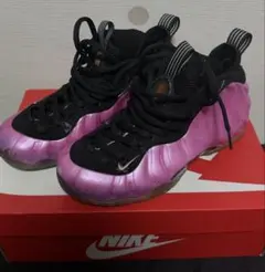 NIKE AIR FOAMPOSITE PRO エアフォームポジット 24.5