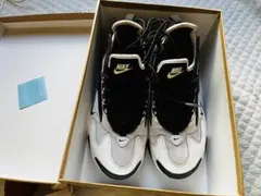 Nike Zoom 2K ナイキ ズーム ホワイト/ブラック 24.5cm