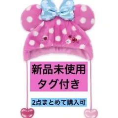 ディズニー　パルパルーザ　ファンキャップ　ミニー　ファンダーランド2026