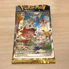 ポケモンカード ホゲータex SAR
