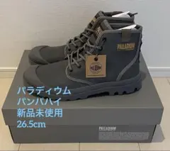 Item thumbnail for item 6d609182-9a8c-448b-a173-25c61080c6a9