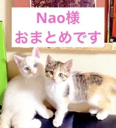 Nao＊ハンドメイドアクセサリー様 リクエスト 3点 まとめ商品