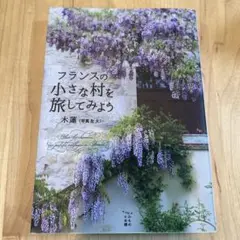フランスの小さな村を旅してみよう
