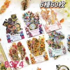 新品❗️アリスの魔法茶話会シリーズ　金箔押しPETステッカーシール　6種60枚