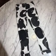 Item thumbnail for item 0fba2600-7540-487a-a13d-42f970fae44a