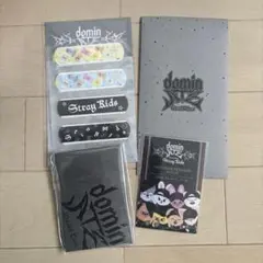 Stray Kids スキズ アプグレ グッズ エコパ