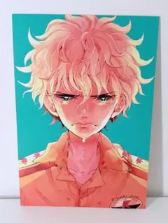 同人　ポストカード　テニスの王子様　テニプリ　立海　両面