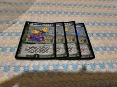 森の指揮官コアラ大佐　ホイル