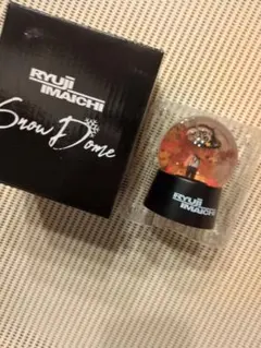 RYUJI IMAICHI Snow Dome　スノードーム