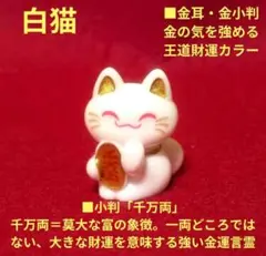 2026年最新】千万両猫の人気アイテム - メルカリ