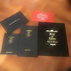 Item thumbnail for item 3aa7af22-7c2e-4cc8-aea8-ccf51735ceb9