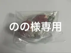 じゃぱぱさん おねむたん 2個セット