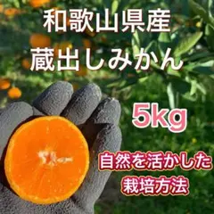 和歌山県産　下津　みかん　低農薬　晩生　5kg