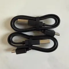 【新品】A to C ケーブル (SwitchBot付属品) 25㎝ 2本セット