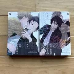 キューピッドに落雷・追撃　2冊セット