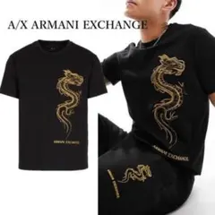 【希少品】A/X ARMANI EXCHANGE ドラゴンプリント Tシャツ