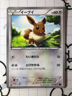 イーブイ　たいあたり　XY G