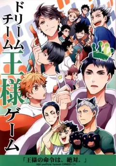 ハイキュー 新品未開封 同人誌