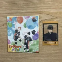 ハイキュー ファンパーク色紙 水族館コラボ