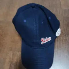 元ヤクルトスワローズ ラミレス選手 キャップ 缶バッジ付