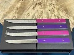 未使用品 龍泉刃物 ステーキナイフ SK01 フォーク FR01 セット②