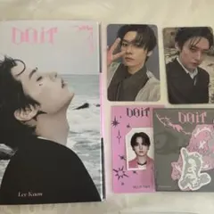 スキズ DO IT Accordion IDフォト トレカ アルバム リノ