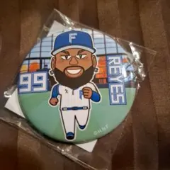 レイエス 記念グッズ