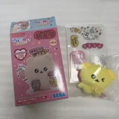 チェゴシム アクぬい いぬゴシム
