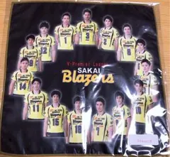 Item thumbnail for item 05cab807-c4cd-4d27-b1a4-7ef5f60498d6