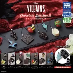 ディズニーヴィランズ　チョコレートセレクション2